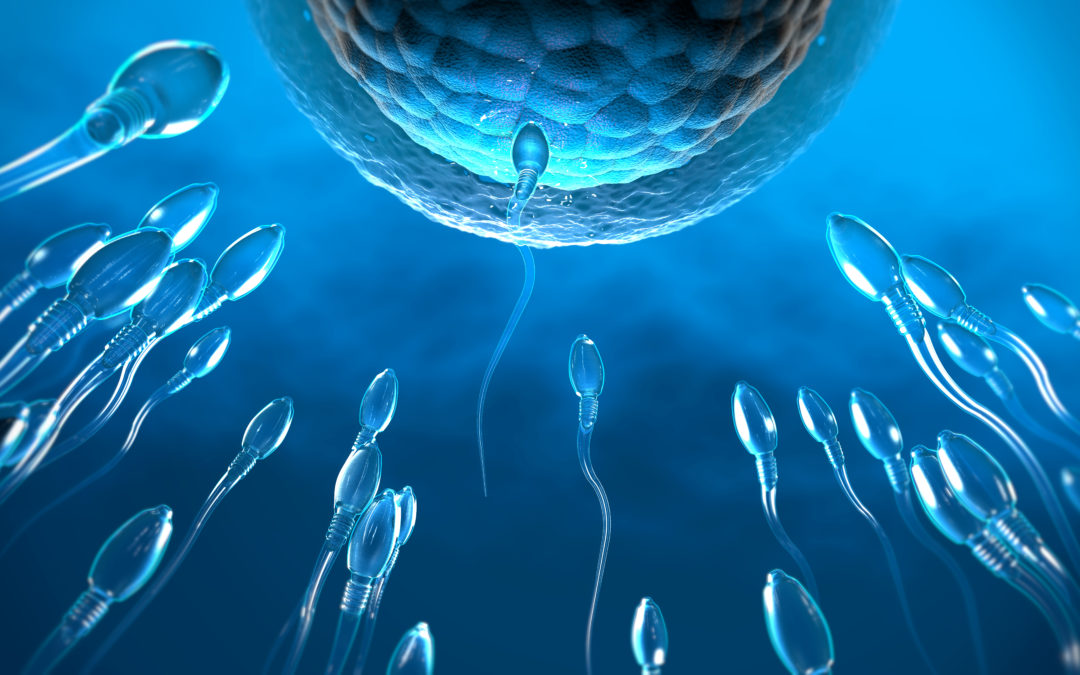 Naprotecnología en la infertilidad masculina