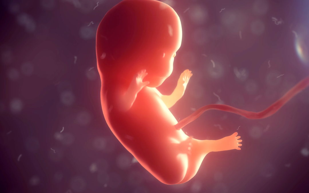 ¿Cómo se puede determinar con precisión el comienzo de un embarazo?